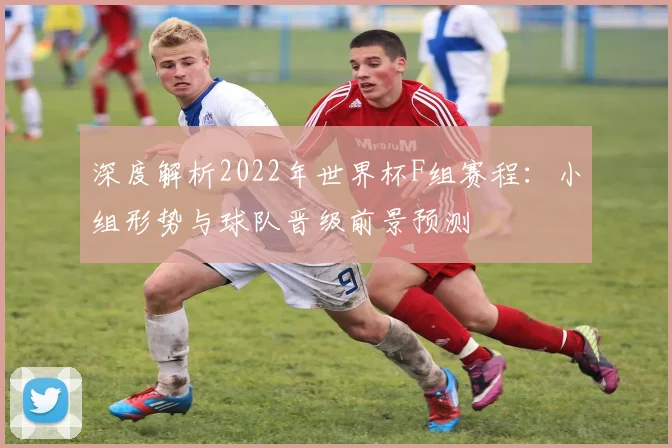 深度解析2022年世界杯F组赛程：小组形势与球队晋级前景预测