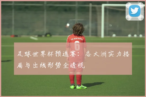 足球世界杯预选赛：各大洲实力格局与出线形势全透视
