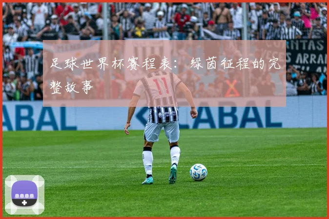 足球世界杯赛程表：绿茵征程的完整故事