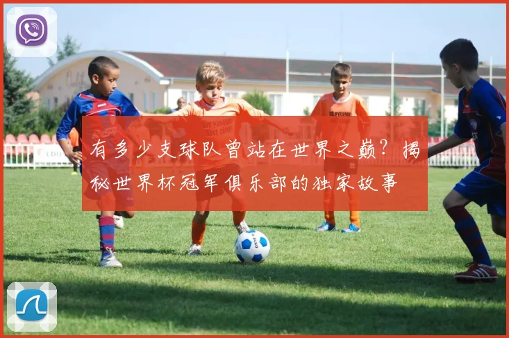 有多少支球队曾站在世界之巅？揭秘世界杯冠军俱乐部的独家故事