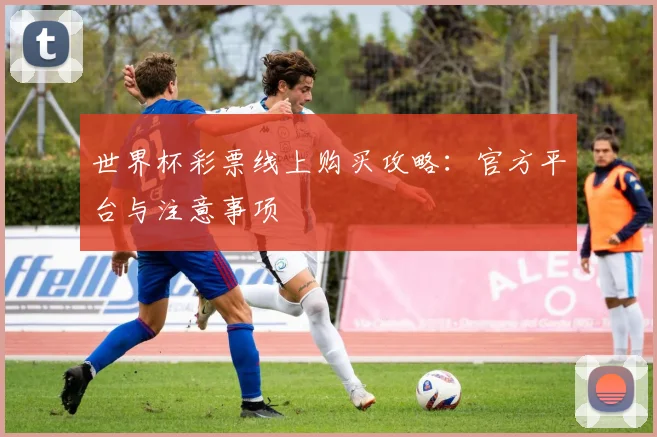 世界杯彩票线上购买攻略:官方平台与注意事项