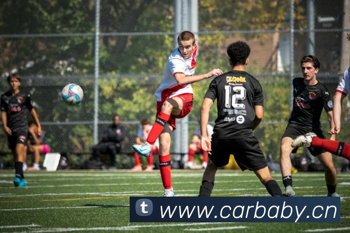 mksports官网登录入口APP 封面图